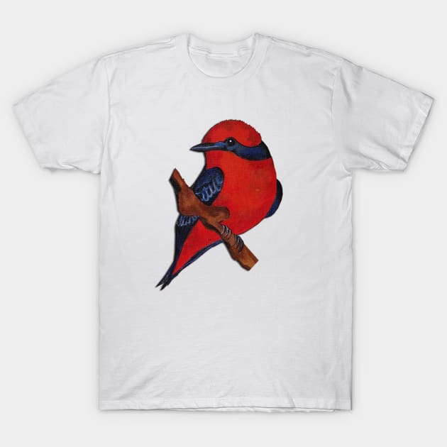 Vermilion Flycatcher cute bird T-Shirt by PaintingsbyArlette